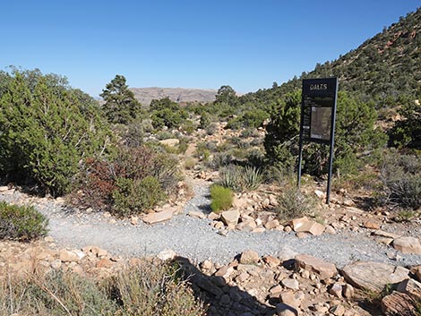 Dales Trail