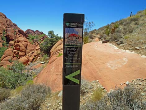 Calico Hills Trail - Sandstone Quarry to Calico 1