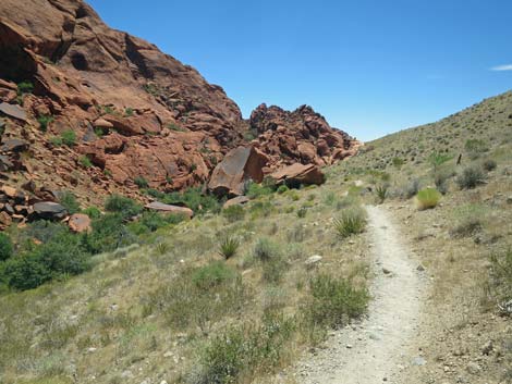 Calico Hills Trail - Sandstone Quarry to Calico 1