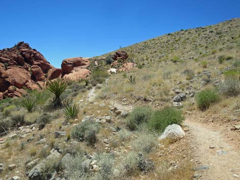 Calico Hills Trail - Sandstone Quarry to Calico 1