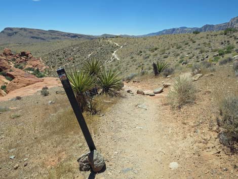 Calico Hills Trail - Sandstone Quarry to Calico 1