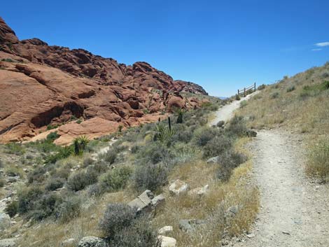 Calico Hills Trail - Sandstone Quarry to Calico 1