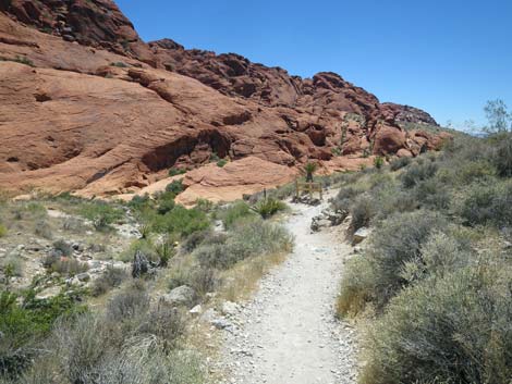 Calico Hills Trail - Sandstone Quarry to Calico 1