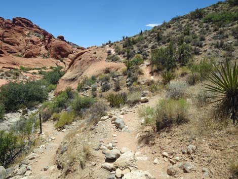 Calico Hills Trail - Sandstone Quarry to Calico 1