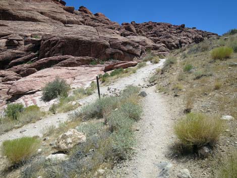 Calico Hills Trail - Sandstone Quarry to Calico 1