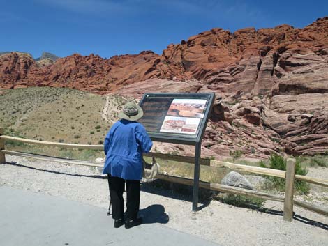 Calico 1 Trailhead