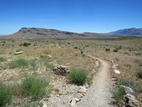 Calico 1 Trailhead