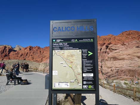 Calico Hills 1 Trailhead