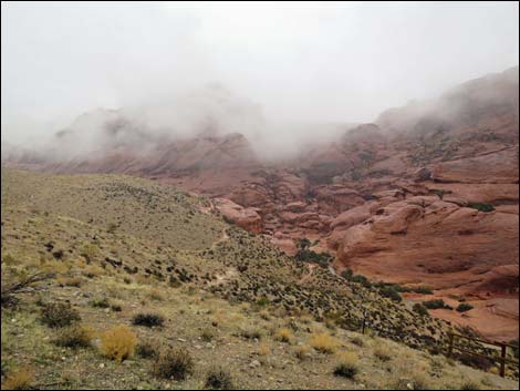 Calico Hills 2 Trailhead