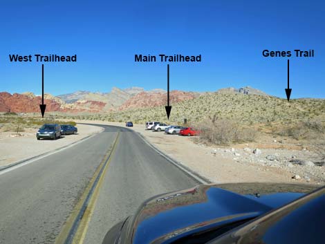 Genes Trailhead