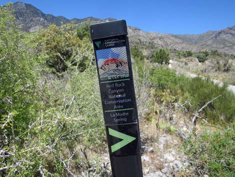 La Madre Trailhead