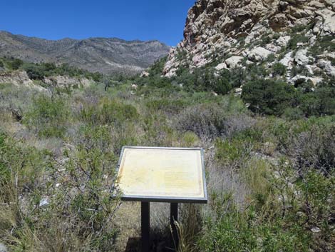 La Madre Trailhead