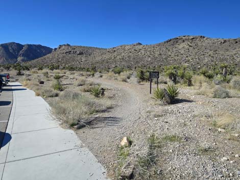 Late Night Trailhead