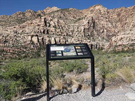 Children's Discovery Trailhead