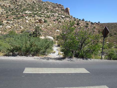 Lost Creek Trailhead