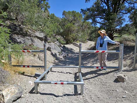 Ranbow Spring Trailhead