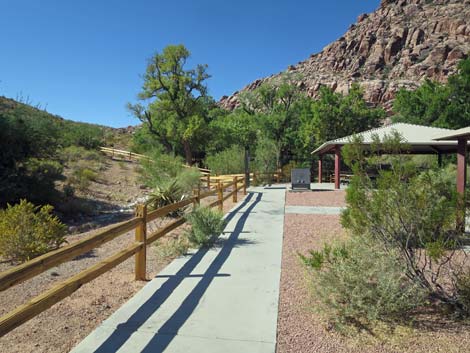 Calico Basin Overlook Trail