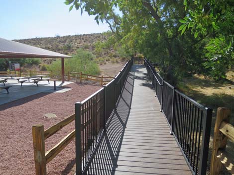 Red Spring Boardwalk