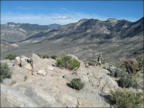 Turtlehead Peak