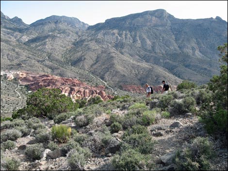 Turtlehead Peak