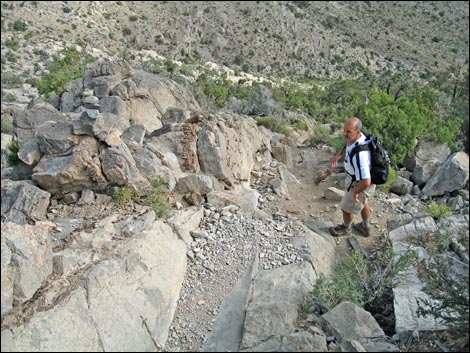 Turtlehead Peak