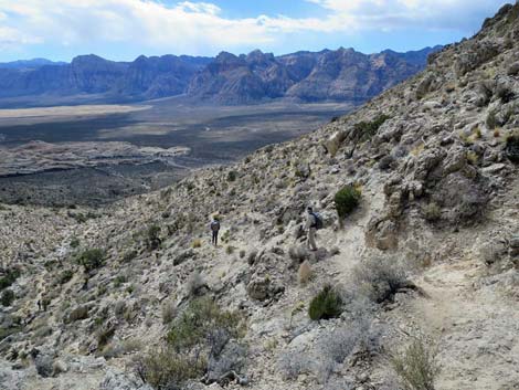 Turtlehead Mountain