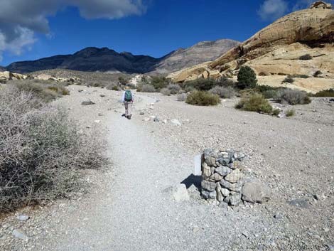 Turtlehead Mountain