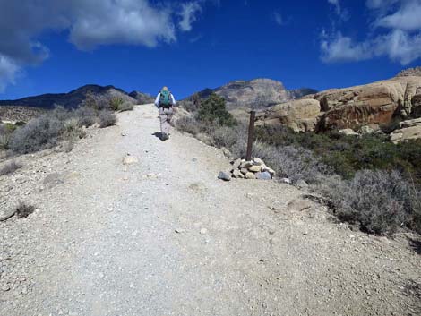 Turtlehead Mountain