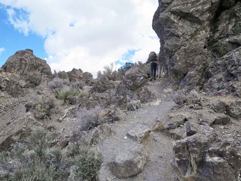 Turtlehead Mountain