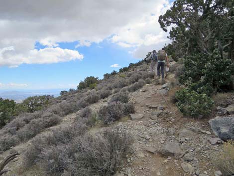 Turtlehead Mountain