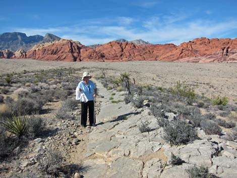 Visitor Center Area Loops