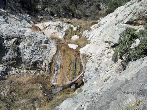 Waterfall Canyon