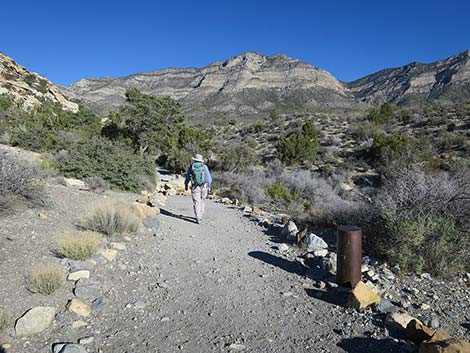 White Rock Loop Trail