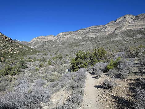 White Rock Loop Trail