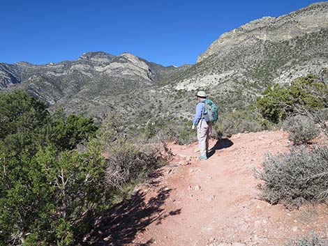 White Rock Loop Trail