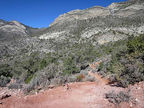 White Rock Loop Trail