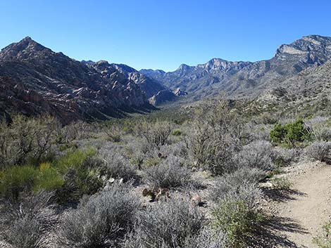 White Rock Loop Trail