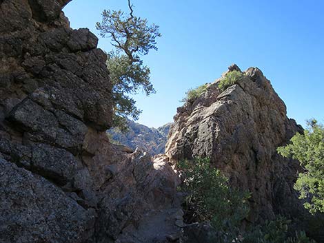 White Rock Loop Trail