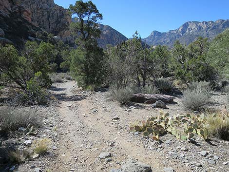 White Rock Loop Trail