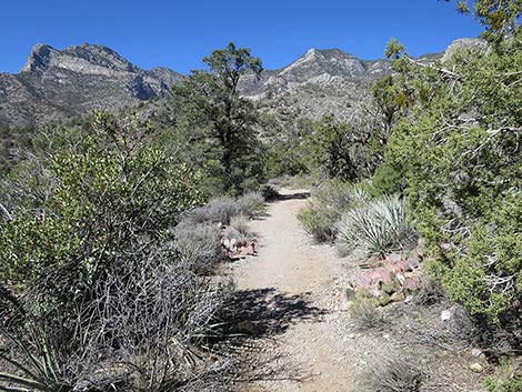 White Rock Loop Trail