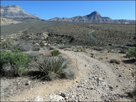 White Rock Loop Trail