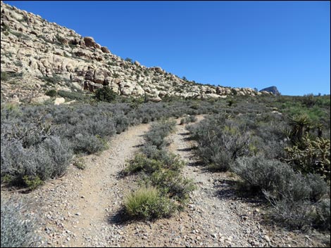 White Rock Loop Trail