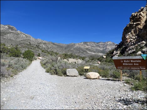 White Rock Loop Trail