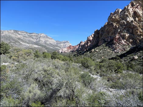 White Rock Loop Trail