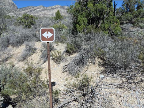 White Rock Loop Trail