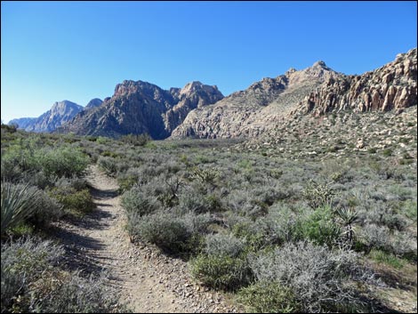 White Rock Loop Trail