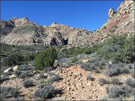 White Rock Loop Trail