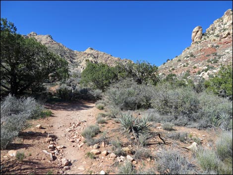 White Rock Loop Trail