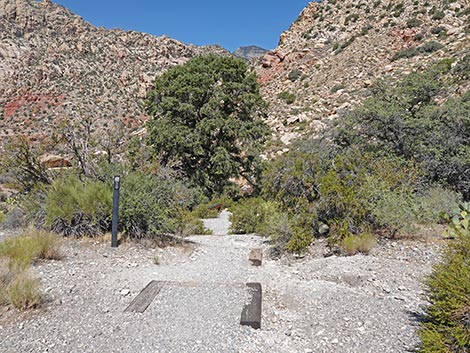 White Rock Spring Trail