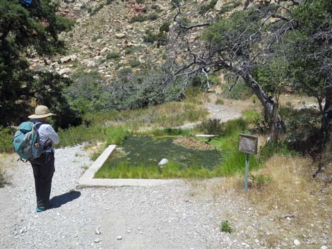 White Rock Spring